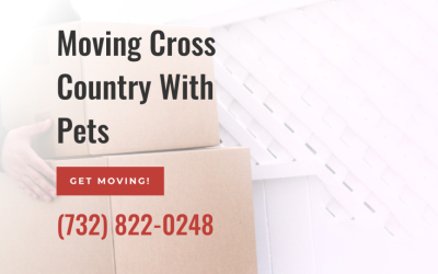Moving With Pets Cross Country – How to Move With Pets