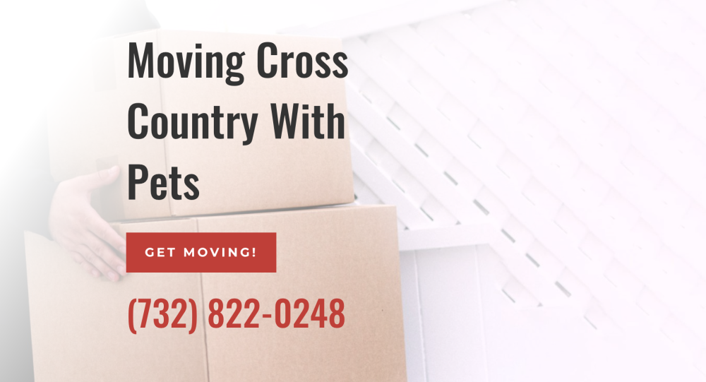 Moving With Pets Cross Country – How to Move With Pets